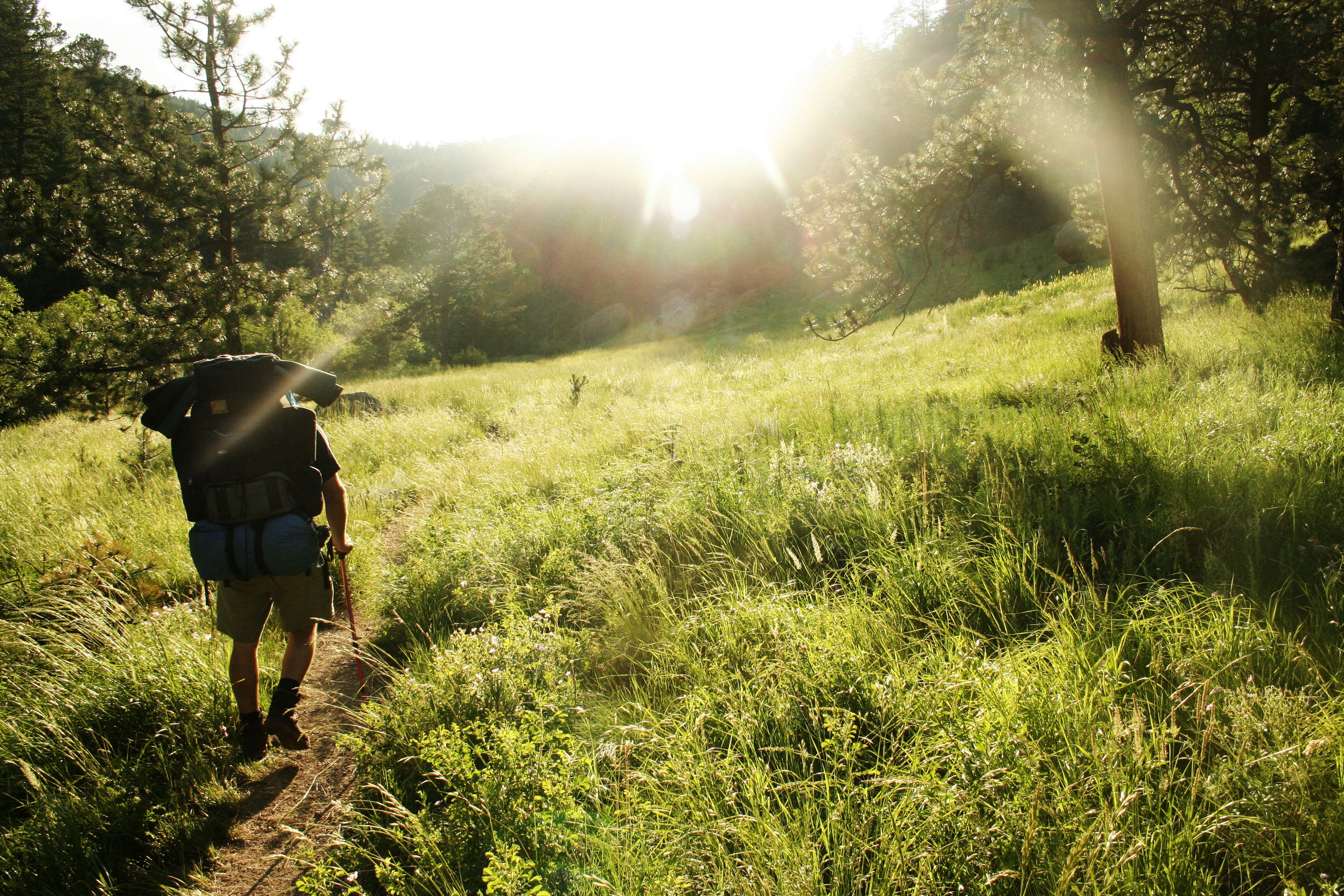 La montagne : notre solution contre la canicule