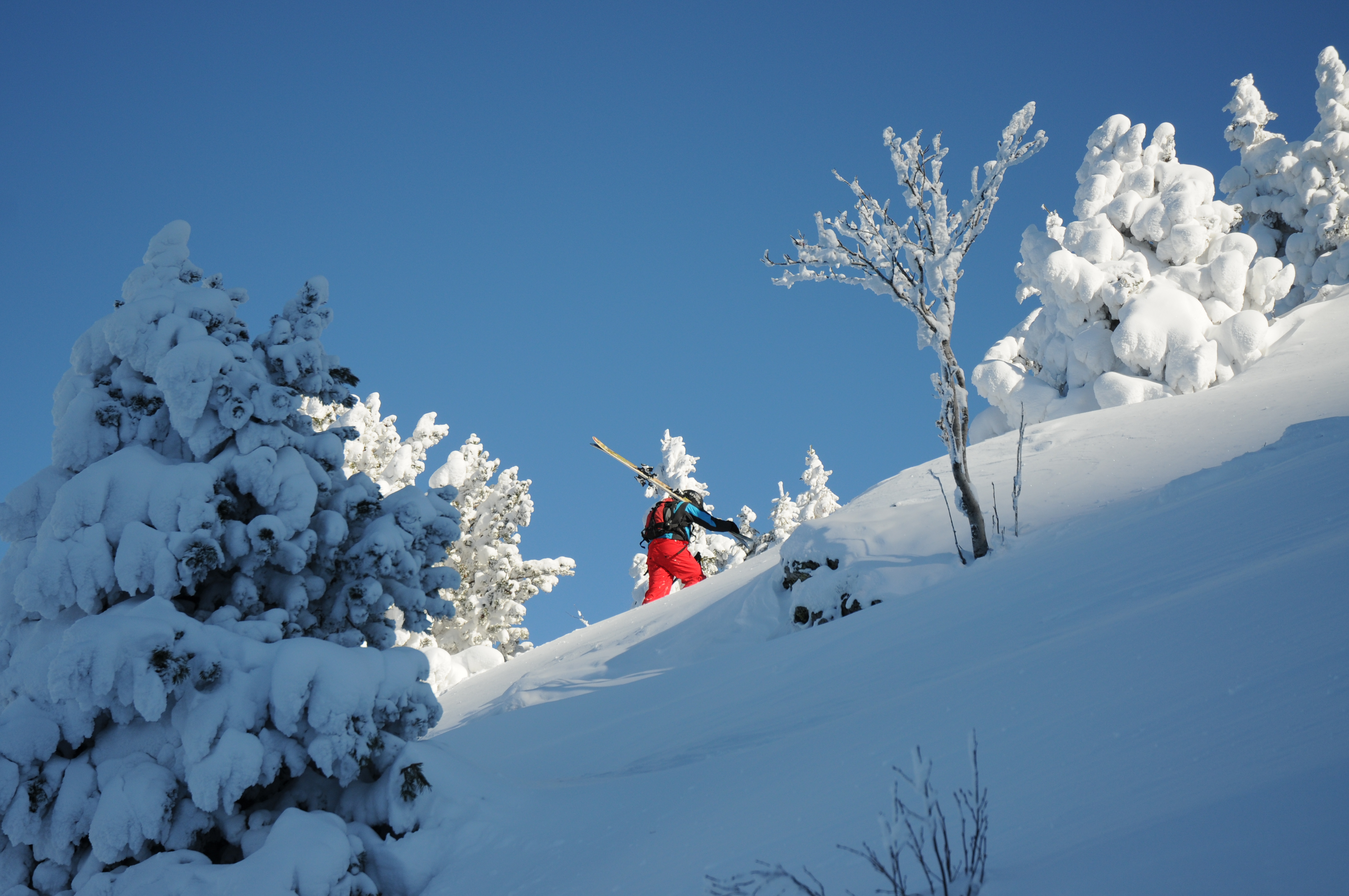 Pratique du ski, une activité bénéfique pour la santé